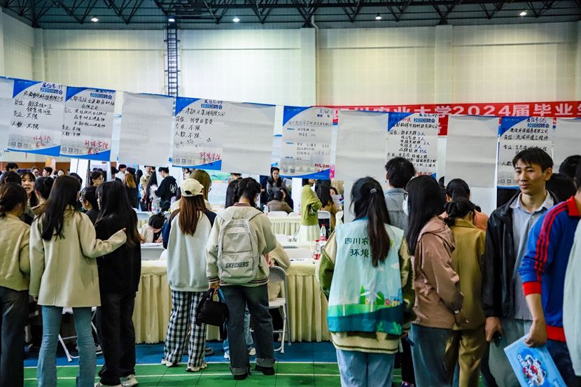 四川农业大学春季双选会现场，应届毕业生在查看企业招聘岗位。 马天睿摄影.jpg